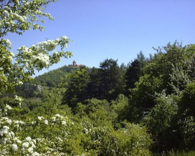 Wachsenburg
