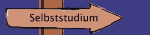 Selbststudium