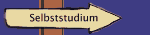 Selbststudium